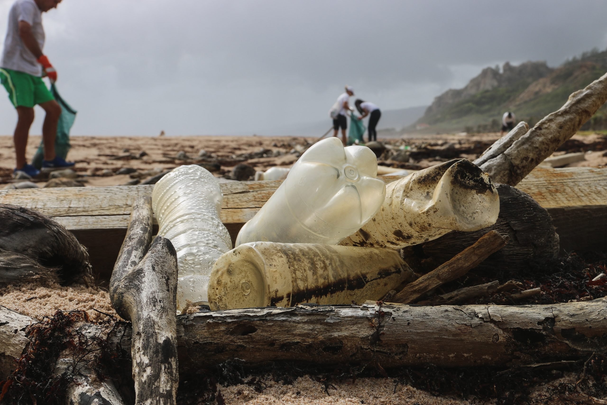 Brian Randa Plastics Immediate Action Can Stem the Tide of Plastics in the Ocean - The Asian ...